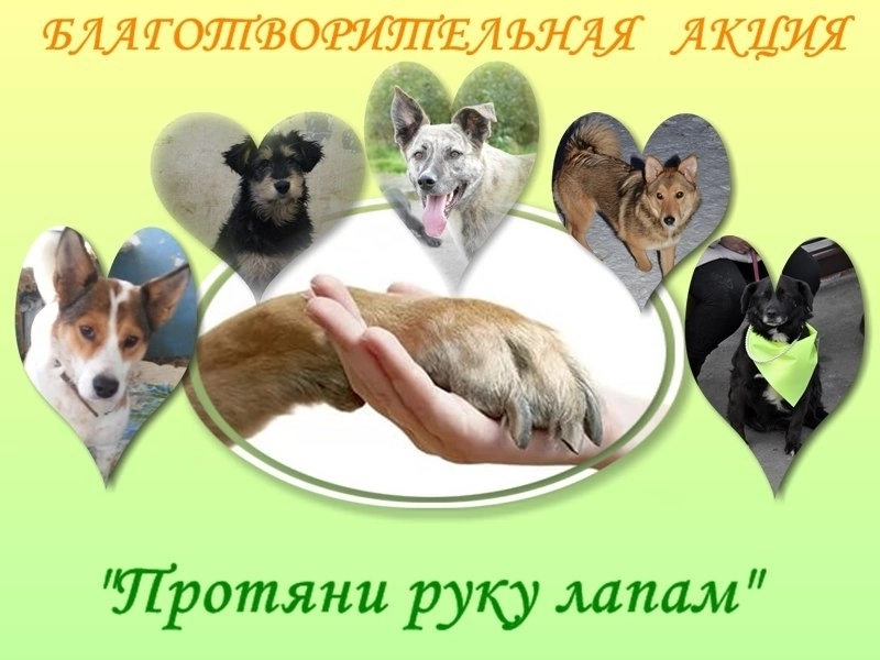 Международный день защиты животных.